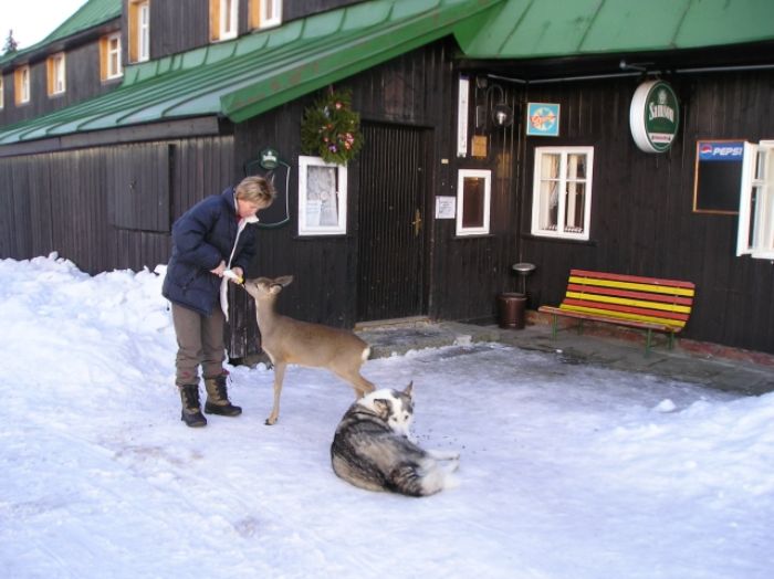 horsky-hotel-Lesni-Bouda