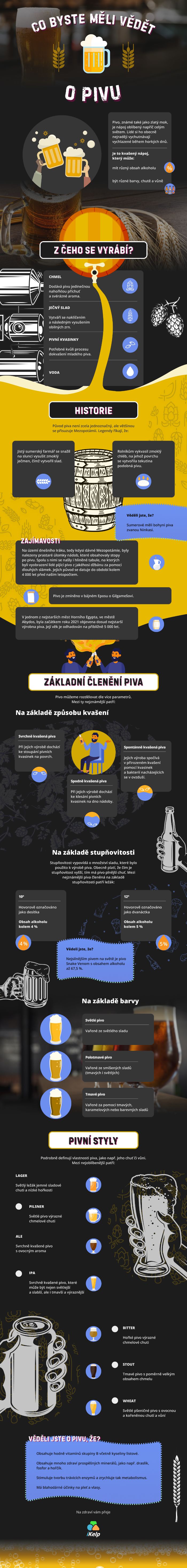 Infografika: Co byste měli vědět o pivu