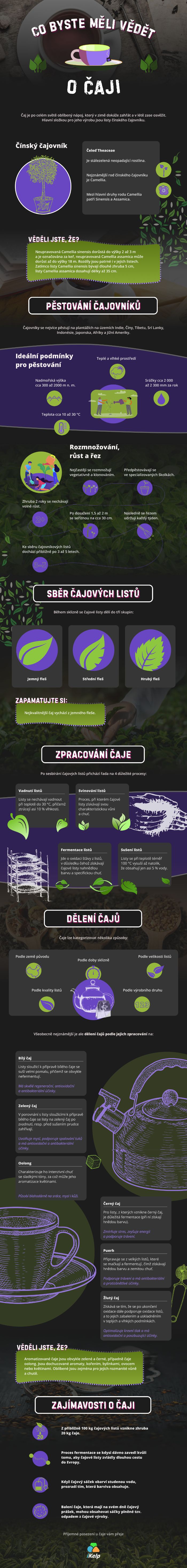 Infografika Co byste měli vědět o čaji?